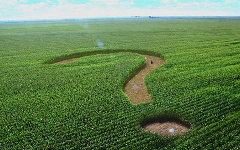 Обкладинка новини Верховна Рада ухвалила закон про примусове відчуження землі на Закарпатті